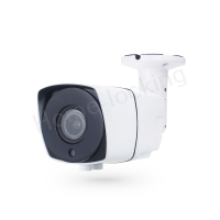 Home-Locking ip-camera met bewegingsdetectie en SONY ship POE 3.0MP.C-1213